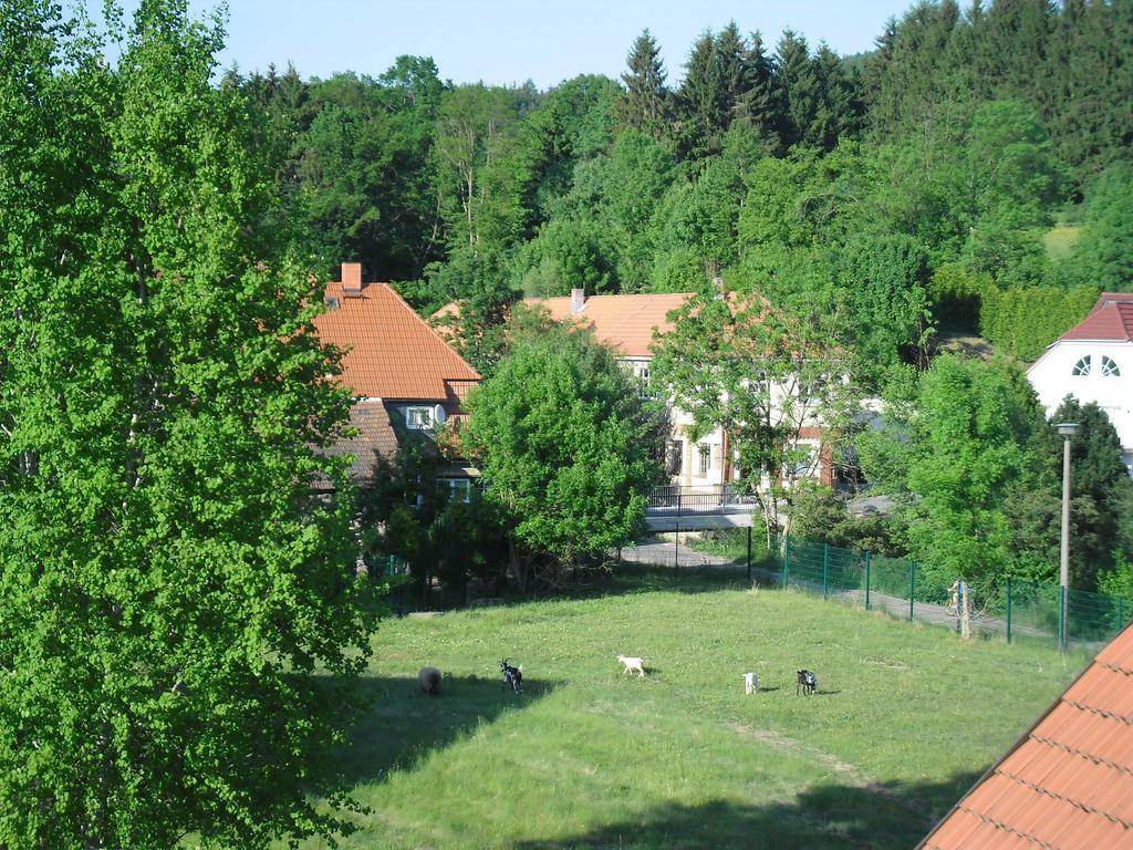 Karin'S Behagliche Ferienwohnung Benshausen Cameră foto